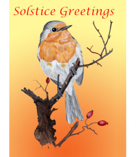 Solstice Robin Greeting Card